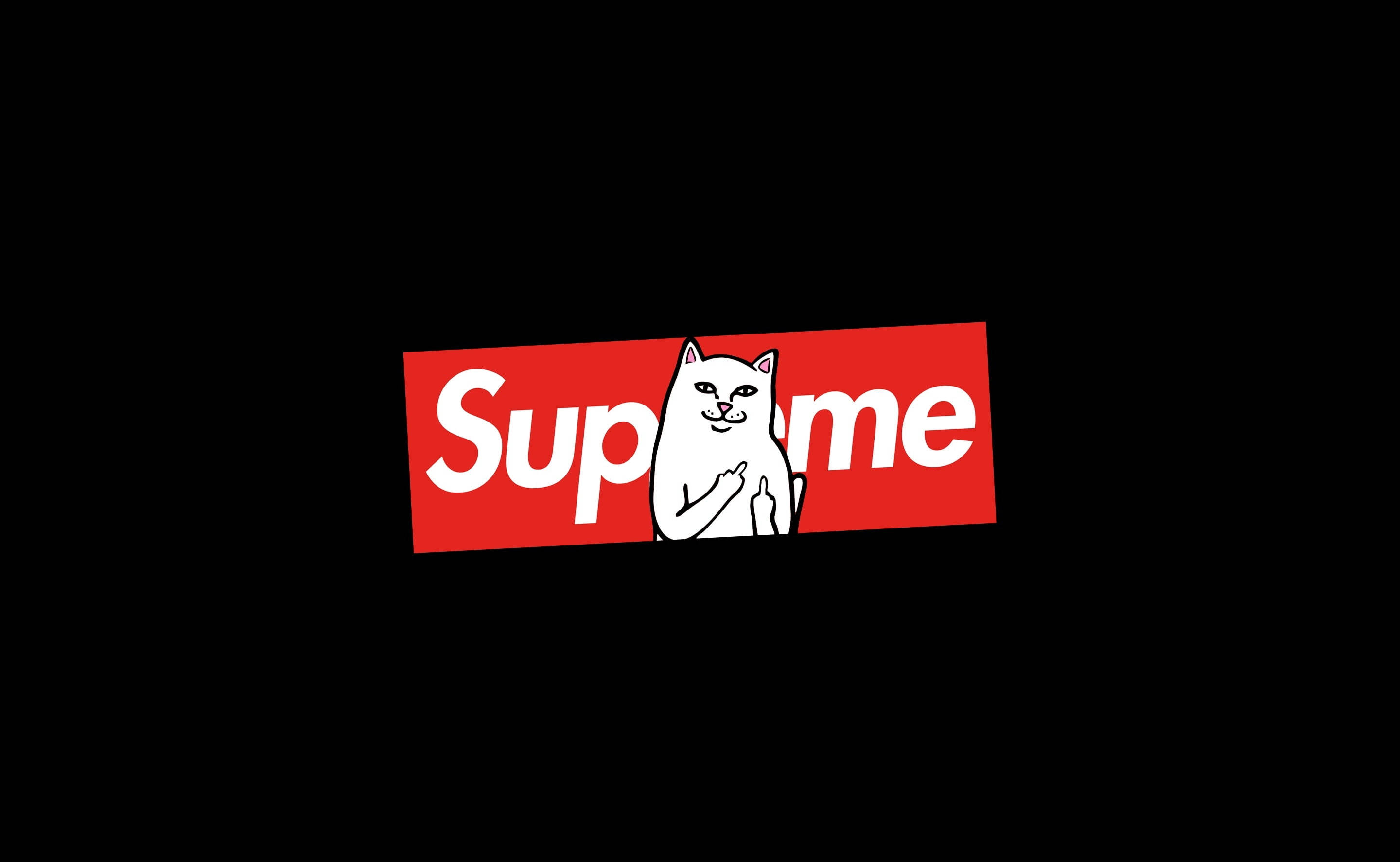Γάτα Καθισμένη σε Laptop Supreme Ταπετσαρία