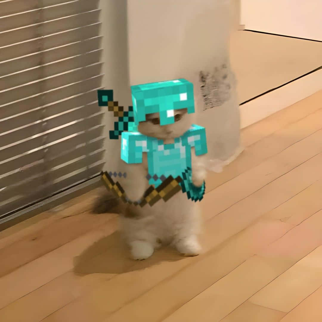 Εικόνες Προφίλ Minecraft — Γάτα Ταπετσαρία