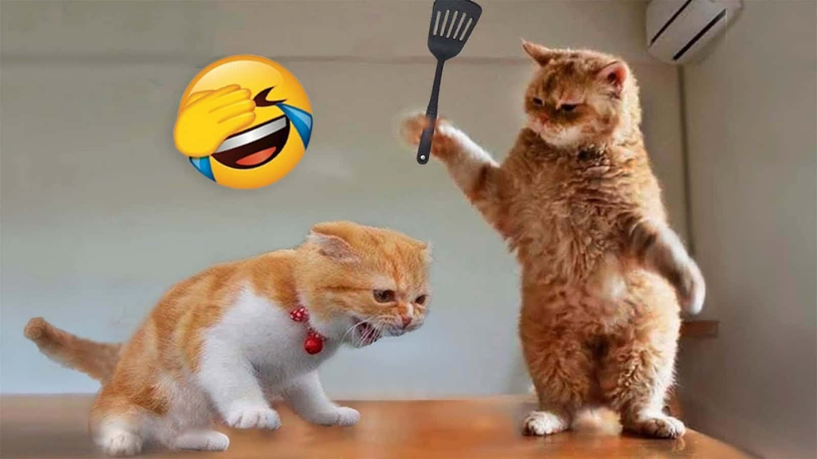 Γάτα σε αστείο meme μάχης με emoji Ταπετσαρία