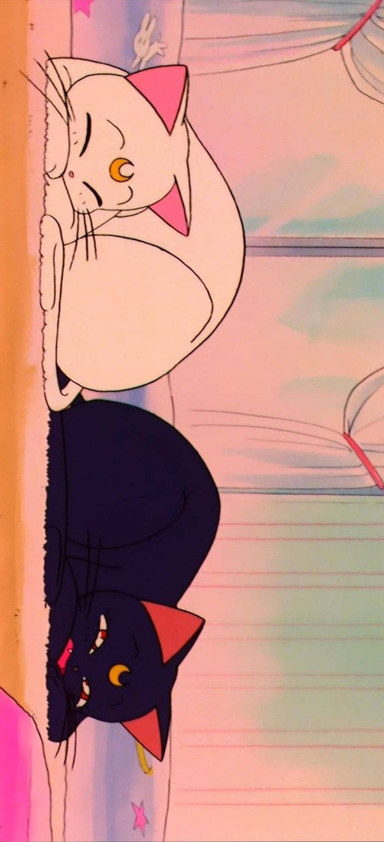 Γάτες Soft Aesthetic Ταπετσαρία