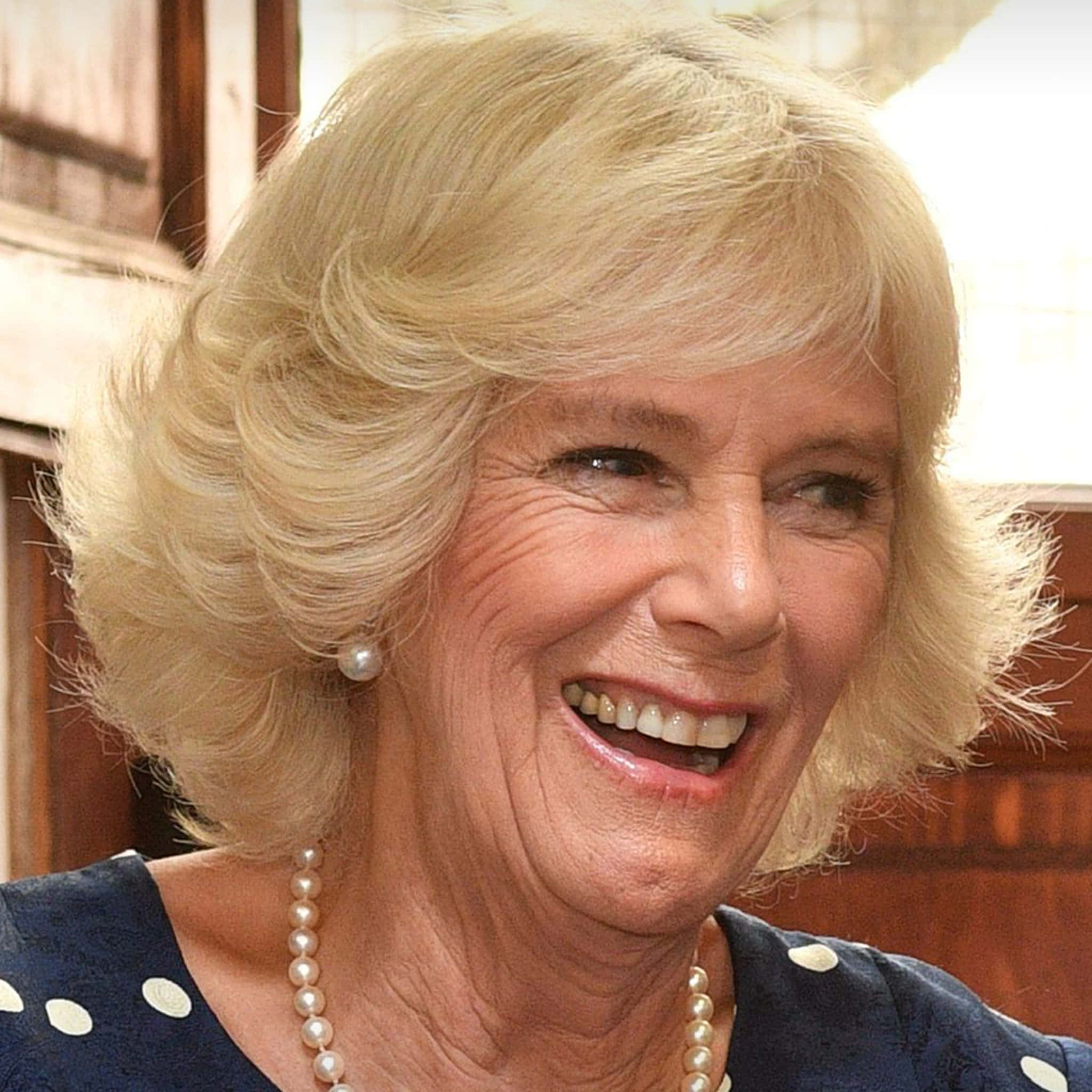 Γέλιο της Camilla για κινητό Ταπετσαρία