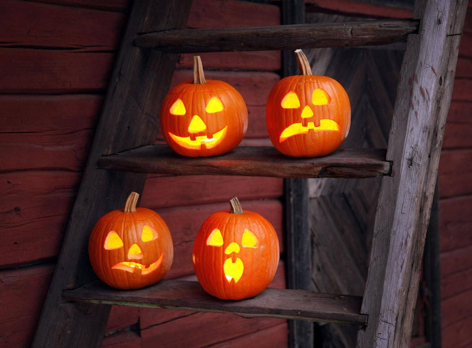 Γιορτάστε το Halloween με Διασκεδαστικές και Αστείες Κολοκύθες Ταπετσαρία