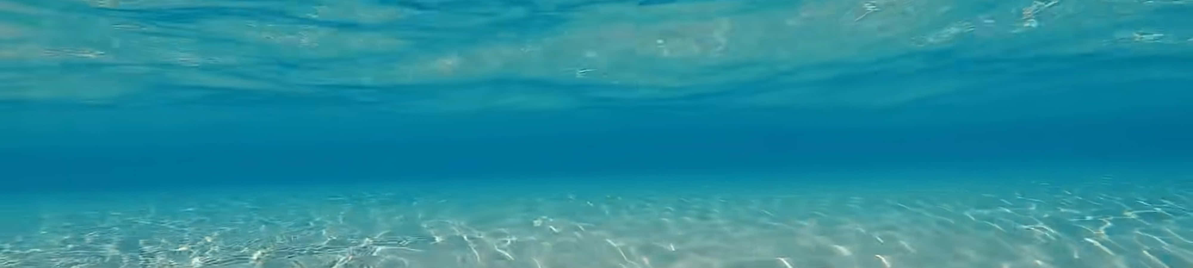 Εξερευνήστε και θαυμάστε την εκπληκτική ομορφιά της φύσης Ταπετσαρία