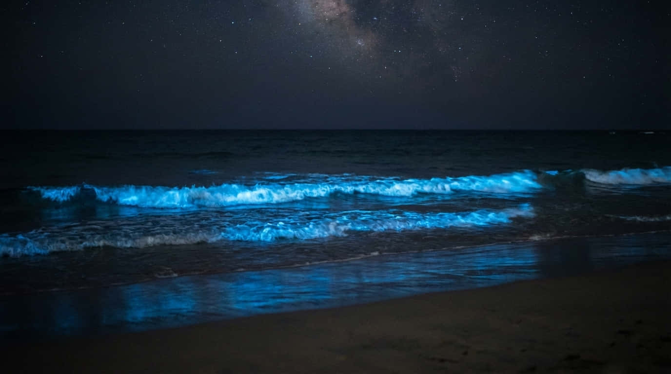 4K νυχτερινός ωκεανός, μπλε κύματα τη νύχτα, ταπετσαρία νυχτερινού ωκεανού, παραλία γαλαξία, παραλία που λάμπει, βιοφωταυγή κύματα, Φύση 4K, Φύση, Παραλία, Φόντο Θάλασσας, Θάλασσα