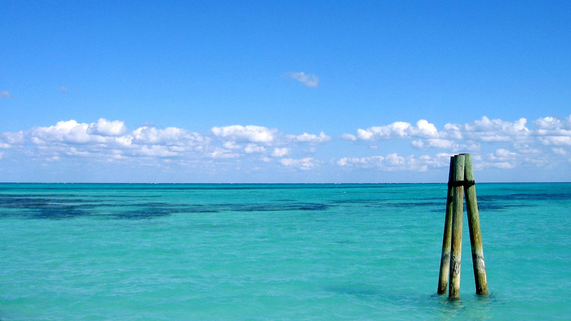 Θέα του Ωκεανού στις Μπαχάμες Ταπετσαρία