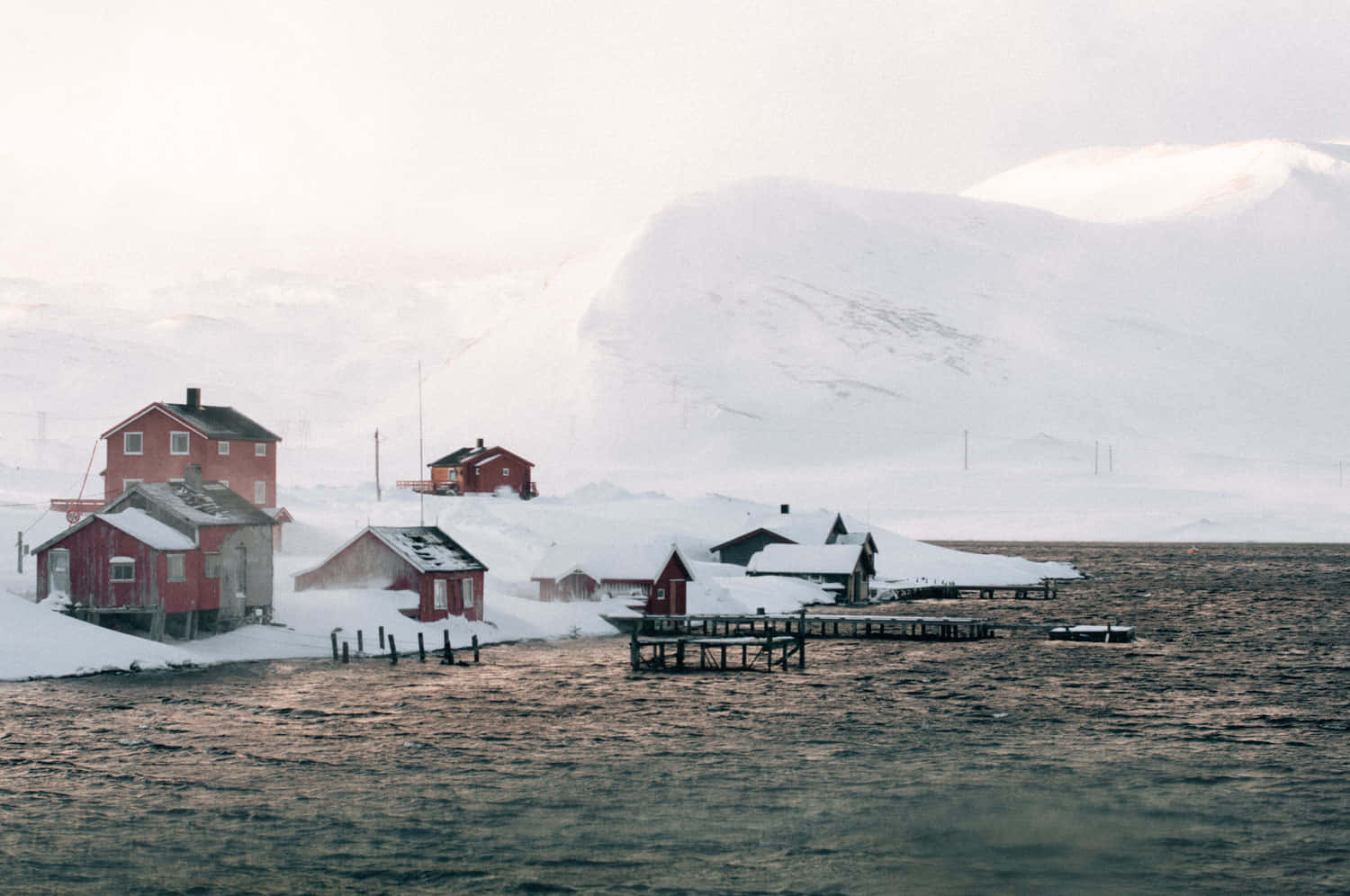 Θέα των δέντρων καλυμμένων με φρεσκοπεσμένο χιόνι Ταπετσαρία