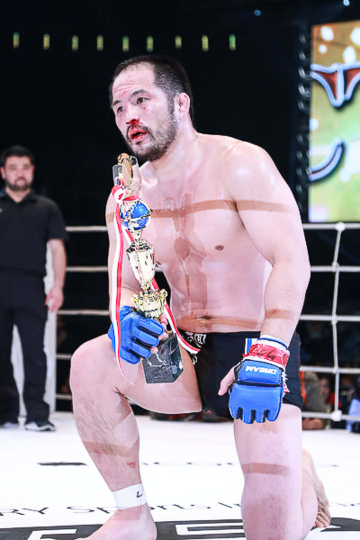 Ιάπωνας MMA Μαχητής Hayato Sakurai Ματωμένο Πρόσωπο Ταπετσαρία