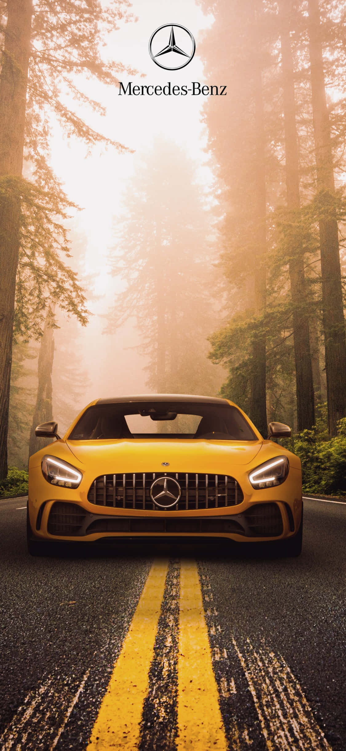 Κίτρινο φόντο iPhone Xs Mercedes Amg σε δάσος Ταπετσαρία
