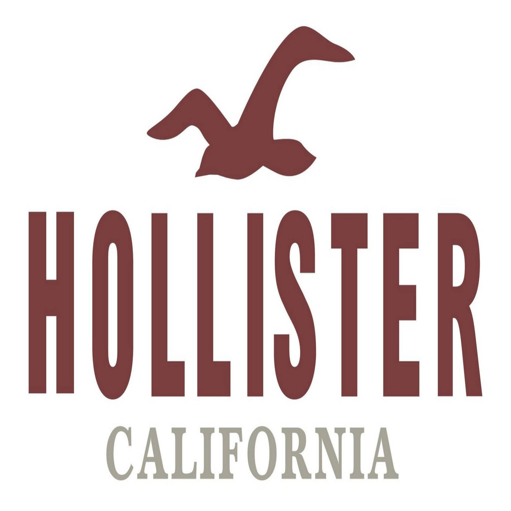 Κλασικό Λογότυπο Hollister Ταπετσαρία