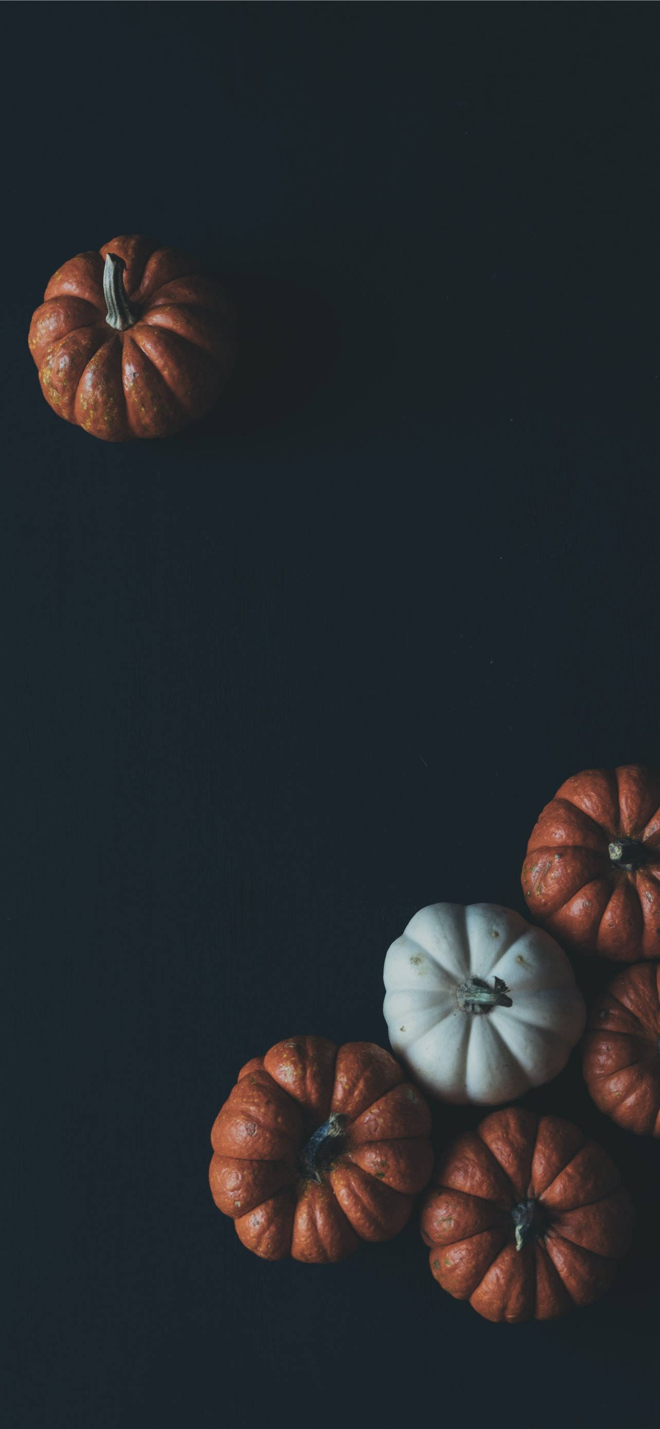 Κολοκύθες Σε Μαύρο Φόντο Thanksgiving iPhone Ταπετσαρία