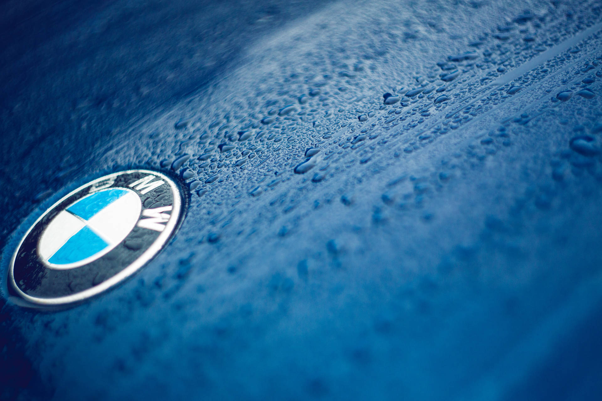 Κοντινή ταπετσαρία λογότυπου BMW σε μπλε αυτοκίνητο με σταγόνες — Bmw Ταπετσαρία