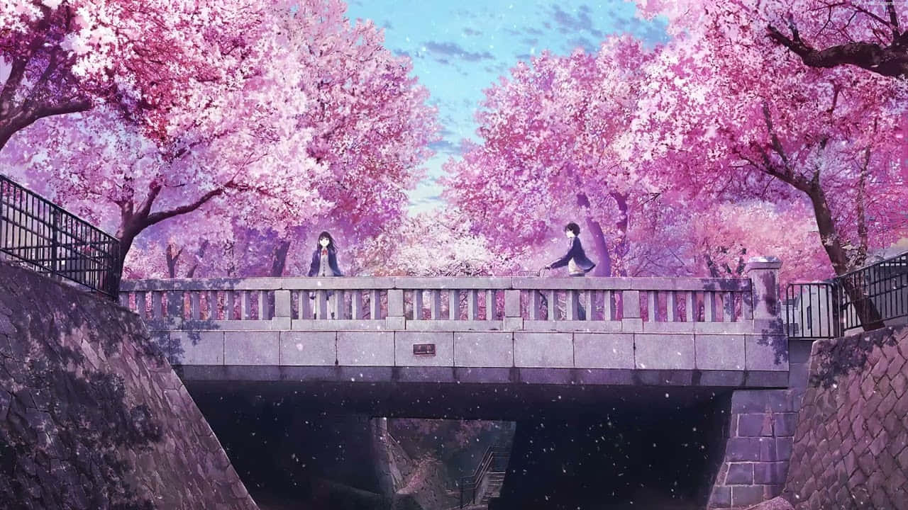 Κορίτσι Σε Γέφυρα με Ανθισμένες Κερασιές Anime Σκηνικό Ταπετσαρία