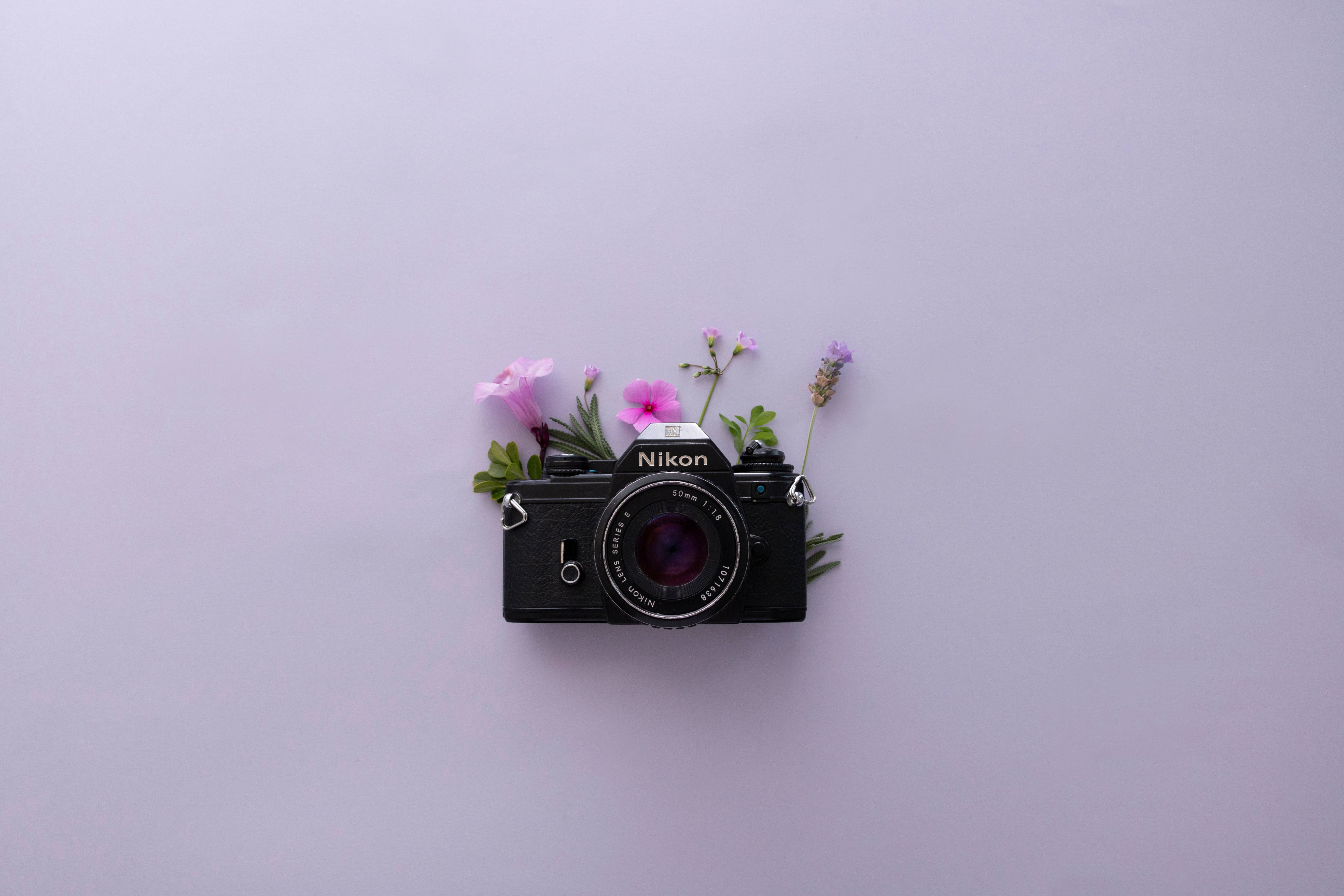 Λεβάντα Αισθητική και Κάμερα Nikon Ταπετσαρία
