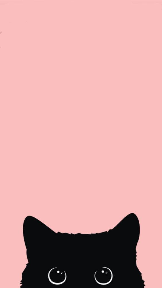 Μαύρη Γάτα iPhone 12 Ταπετσαρία
