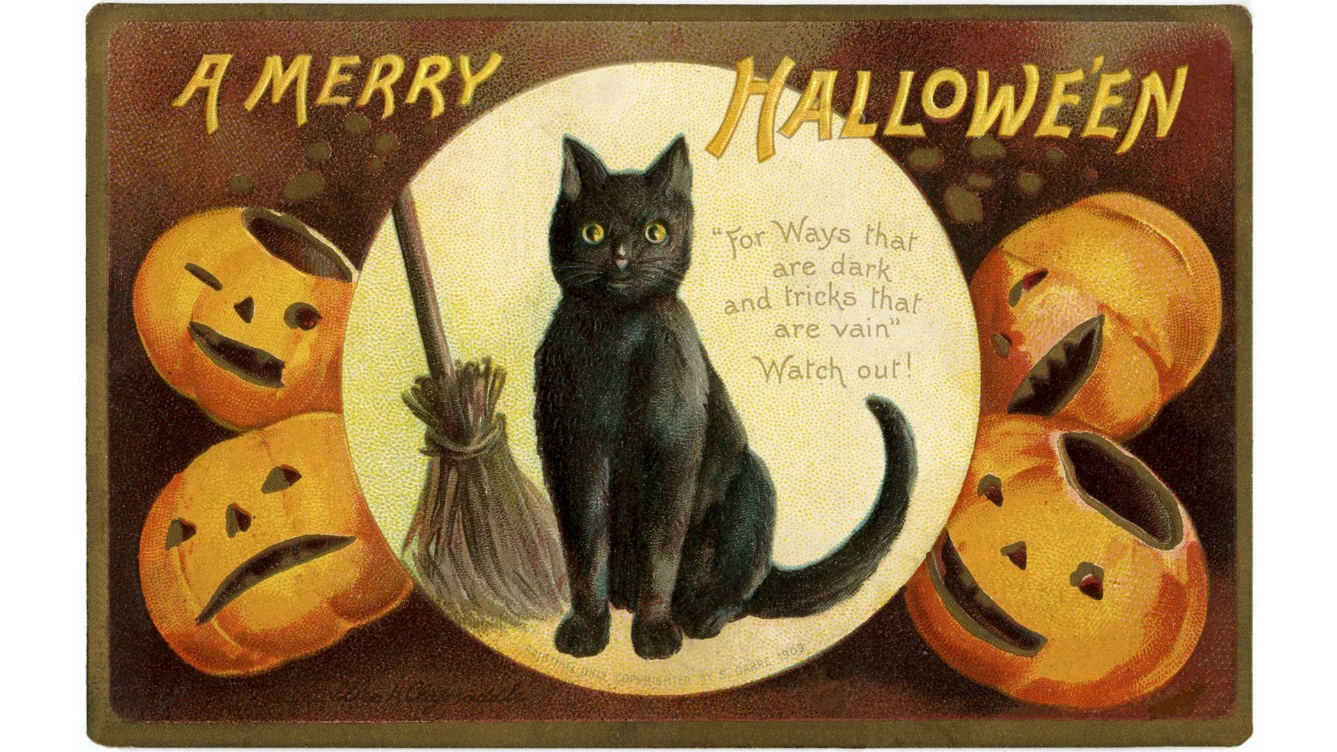 Μαύρη γάτα μάγισσας vintage Halloween Ταπετσαρία