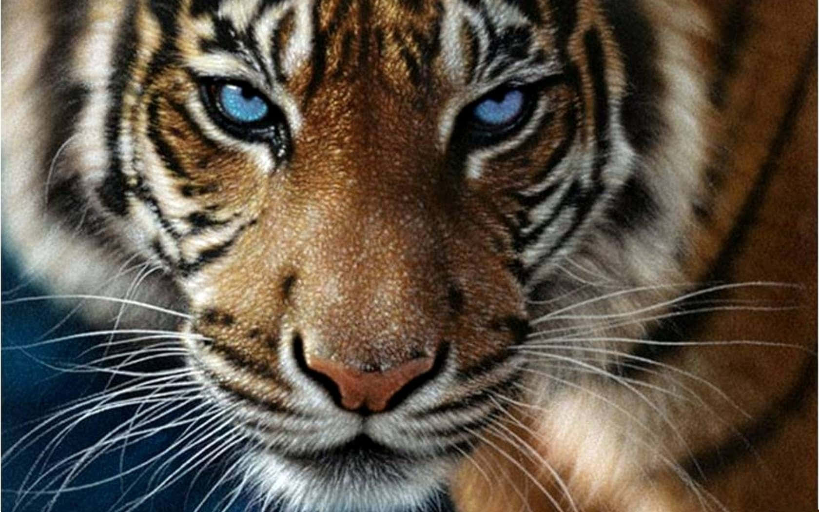 Μεγαλοπρεπής άγρια τίγρη στο φυσικό της περιβάλλον Ταπετσαρία