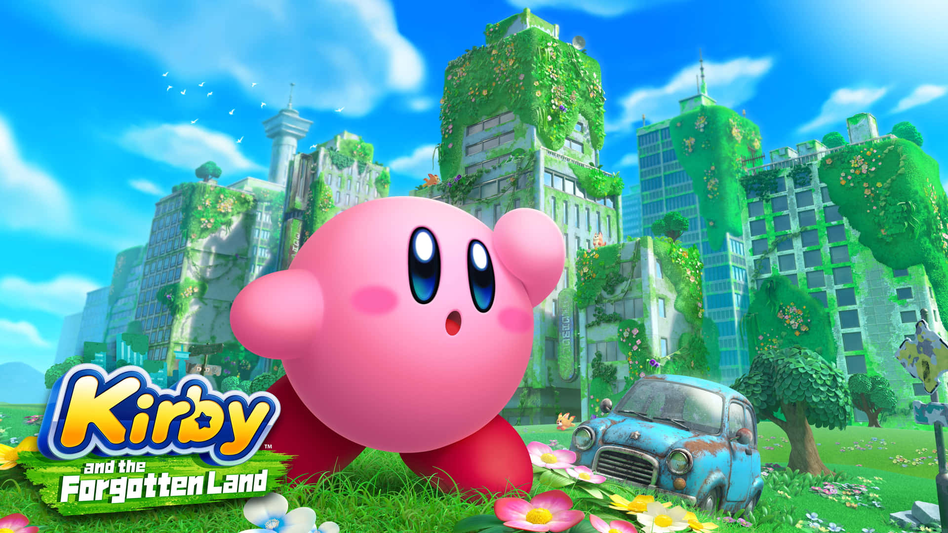 Φόντο Kirby — GIF Kirby Ταπετσαρία
