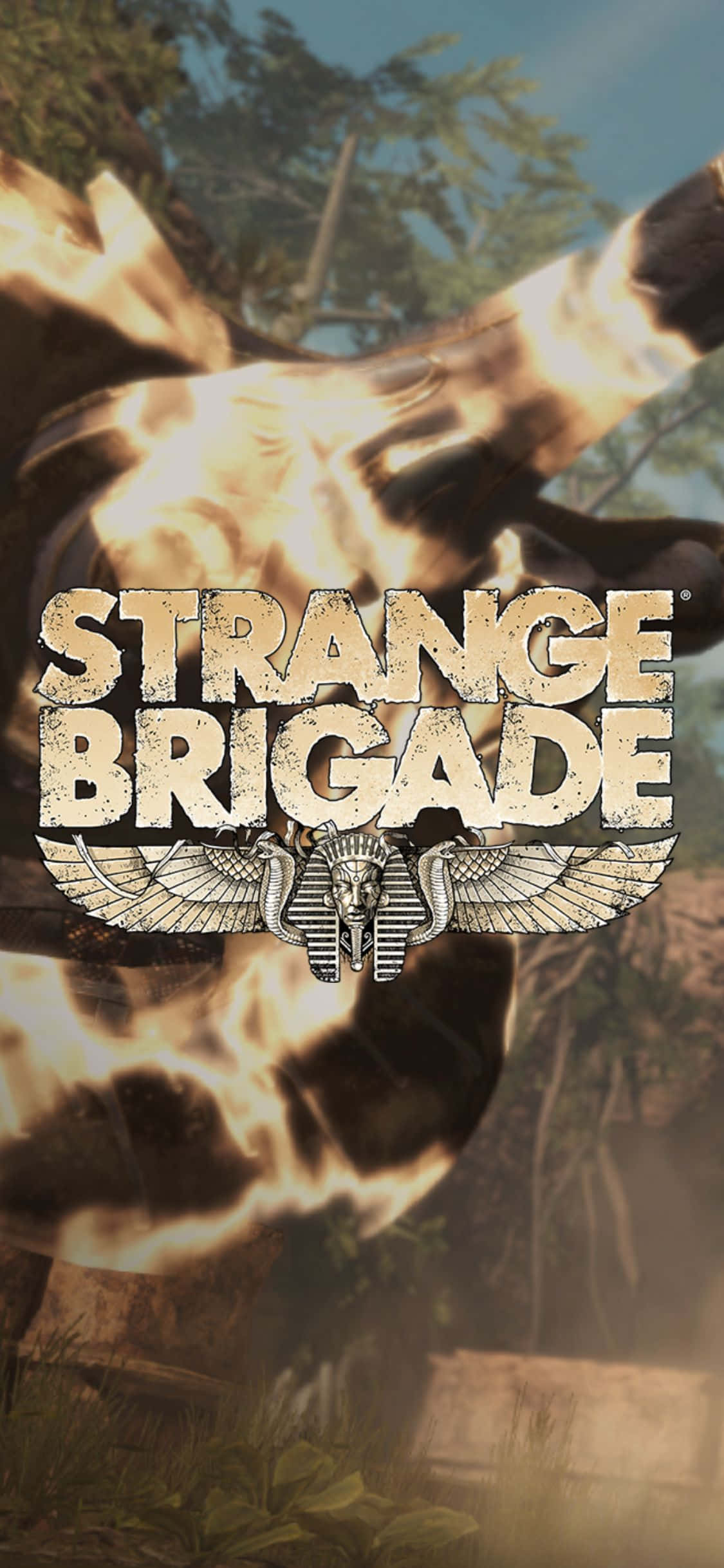 Μπουκάλι με Φωτιά Όπλο iPhone X Strange Brigade Φόντο Ταπετσαρία