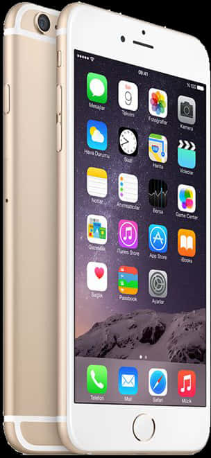 Μπροστά και Πίσω Όψη Goldi Phone6 Plus Ταπετσαρία
