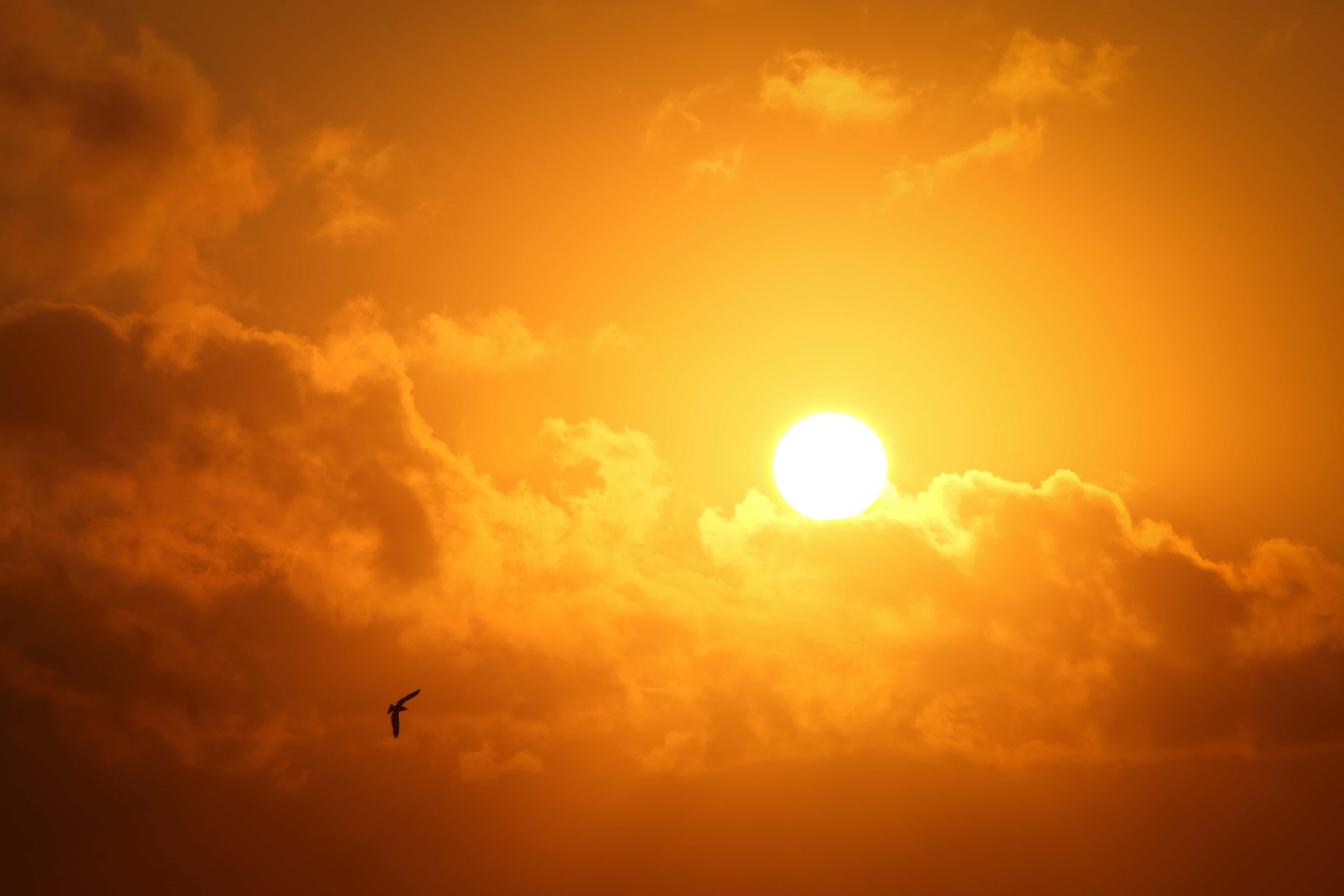Νιώστε την ηρεμία και την ομορφιά ενός ηλιοβασιλέματος Ταπετσαρία