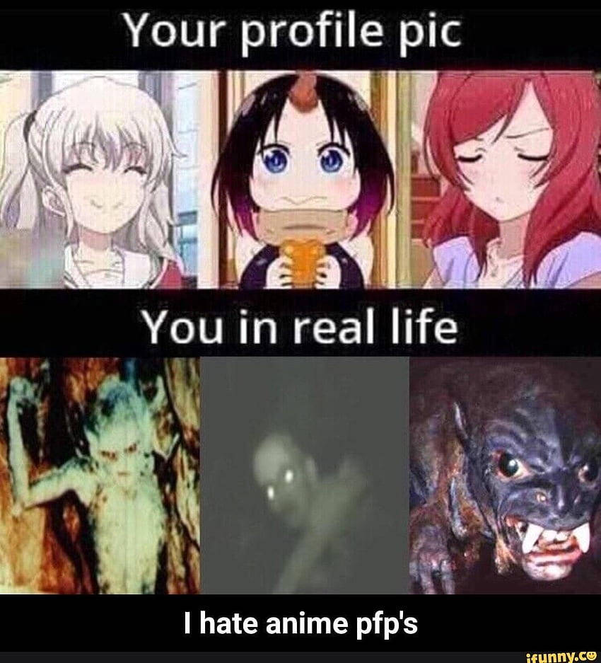 Ξεκαρδιστικό Meme PFP Ταπετσαρία