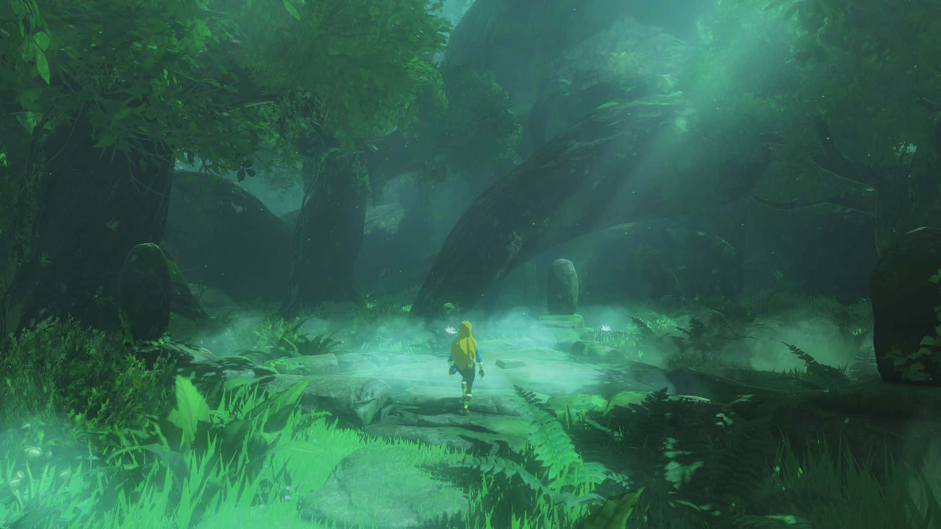 Ο Link σε ένα ταξίδι στον κόσμο του The Legend of Zelda Ταπετσαρία