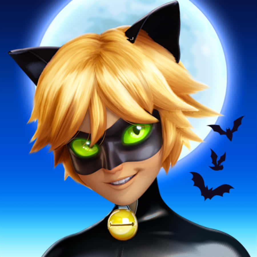 «Ο Σαγηνευτικός Cat Noir» Ταπετσαρία