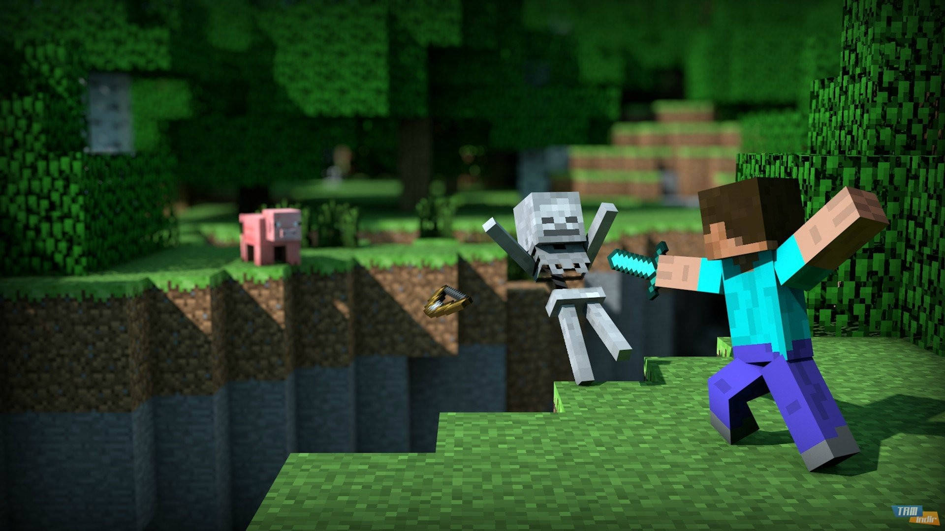 Ο Στιβ Πολεμά Έναν Σκελετό Minecraft HD Ταπετσαρία