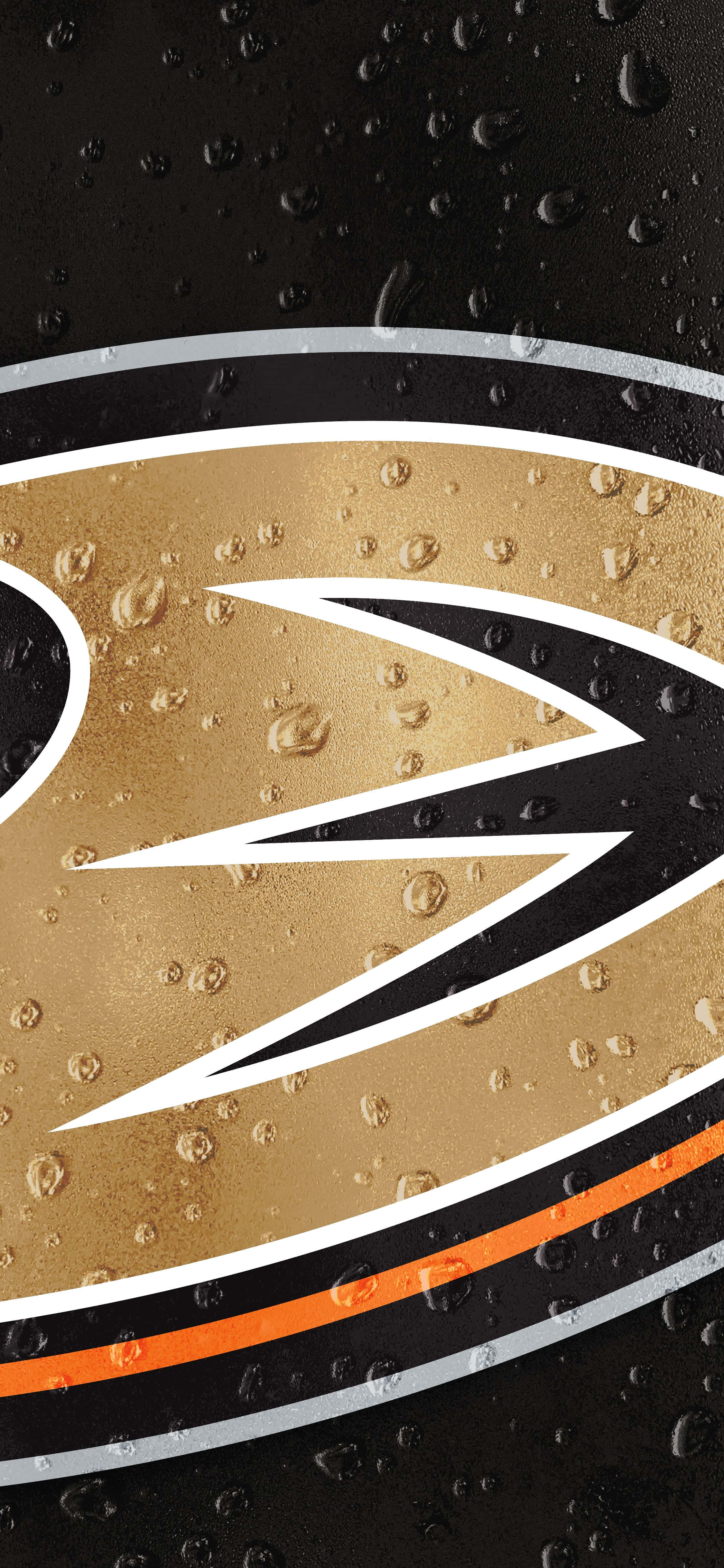 Οι Anaheim Ducks βγαίνουν στον πάγο με στυλ Ταπετσαρία