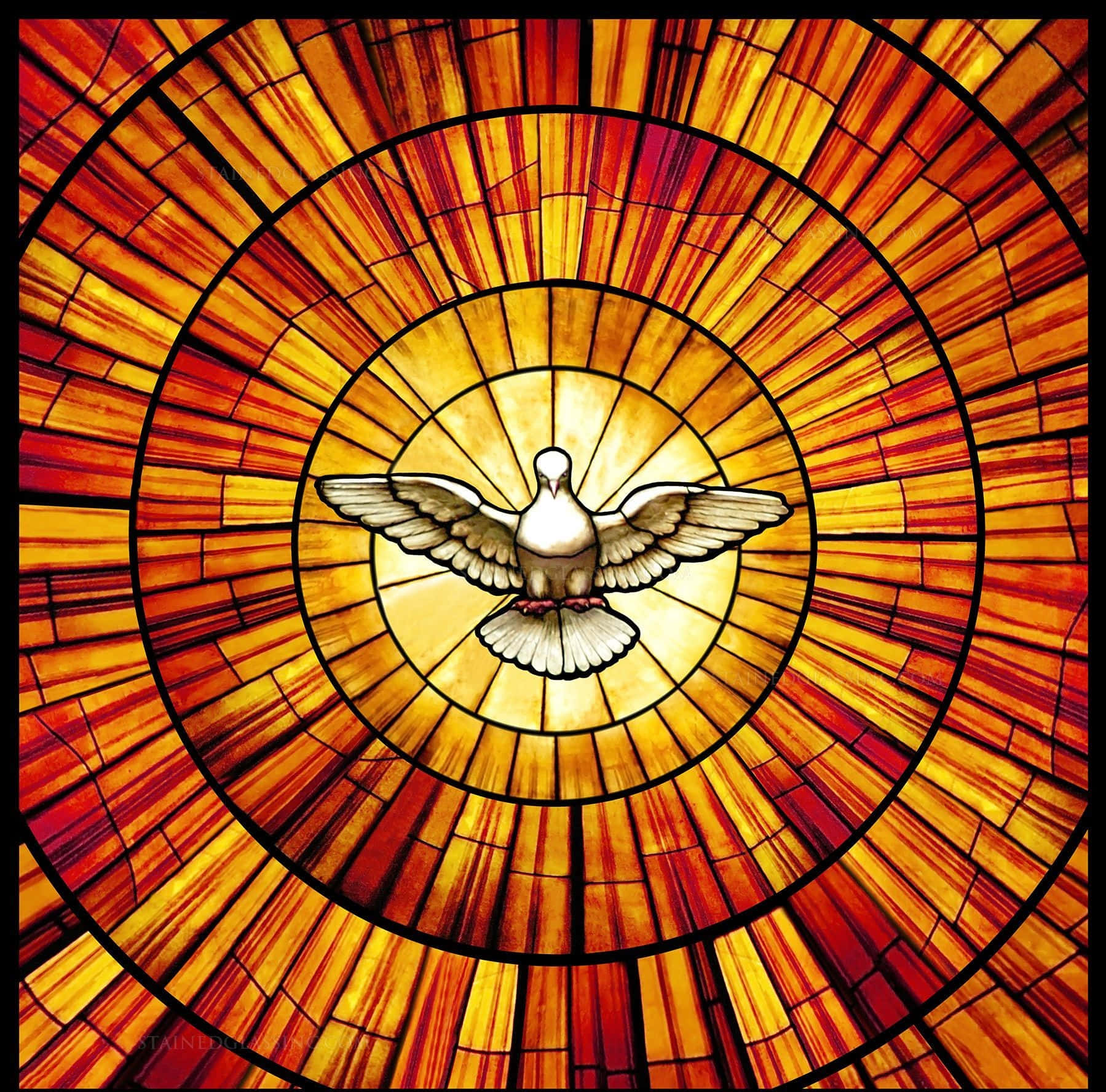 Πανέμορφο Βιτρό Παράθυρο Ταπετσαρία