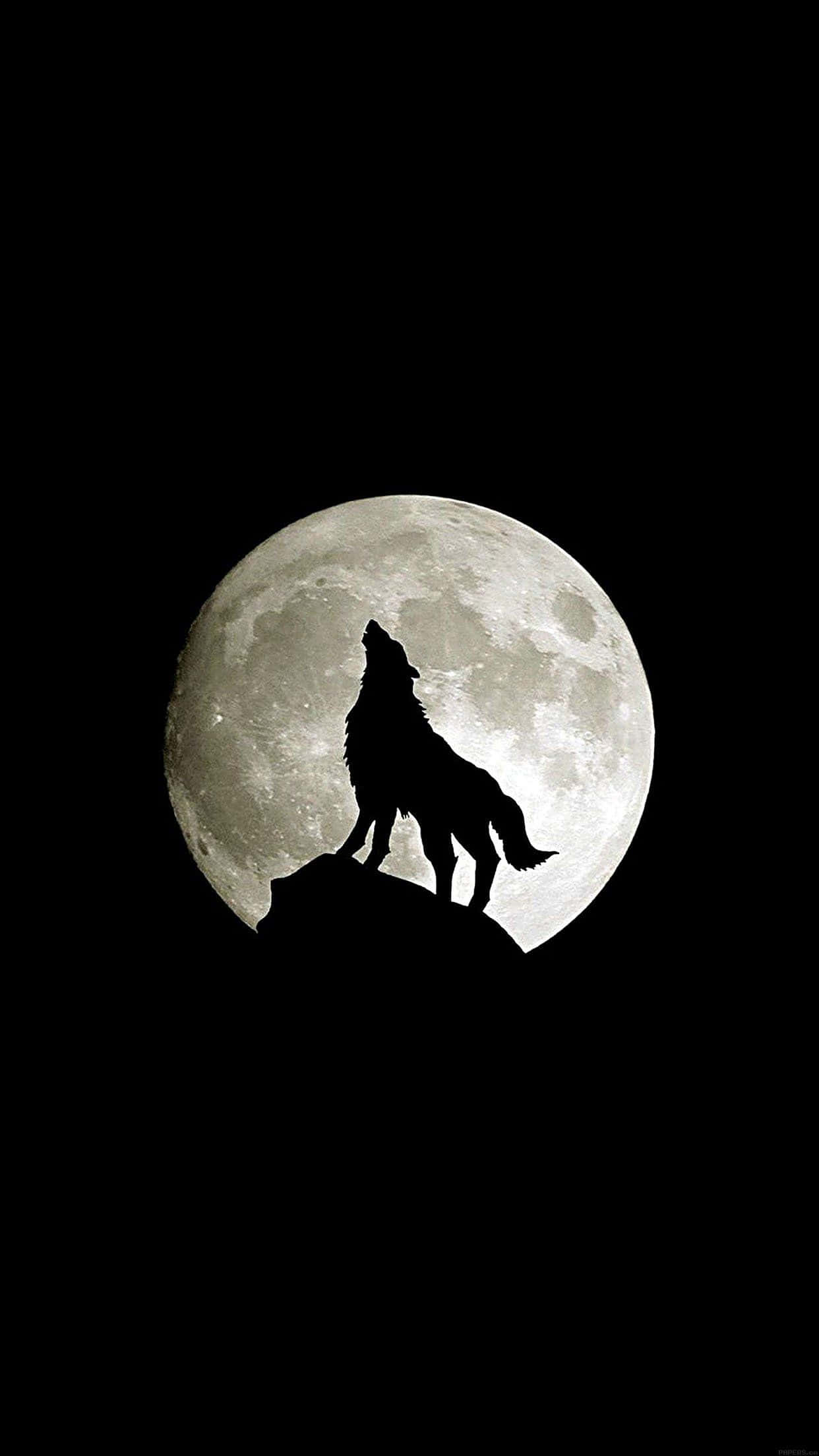 Περιπλανηθείτε στην άγρια φύση με το Wolf iPhone Ταπετσαρία