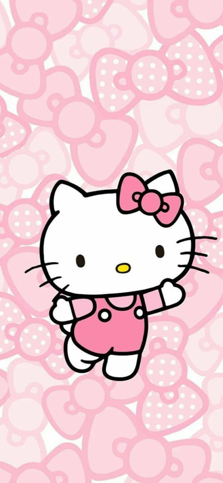 Ροζ Hello Kitty με Διάφορους Φιόγκους Ταπετσαρία