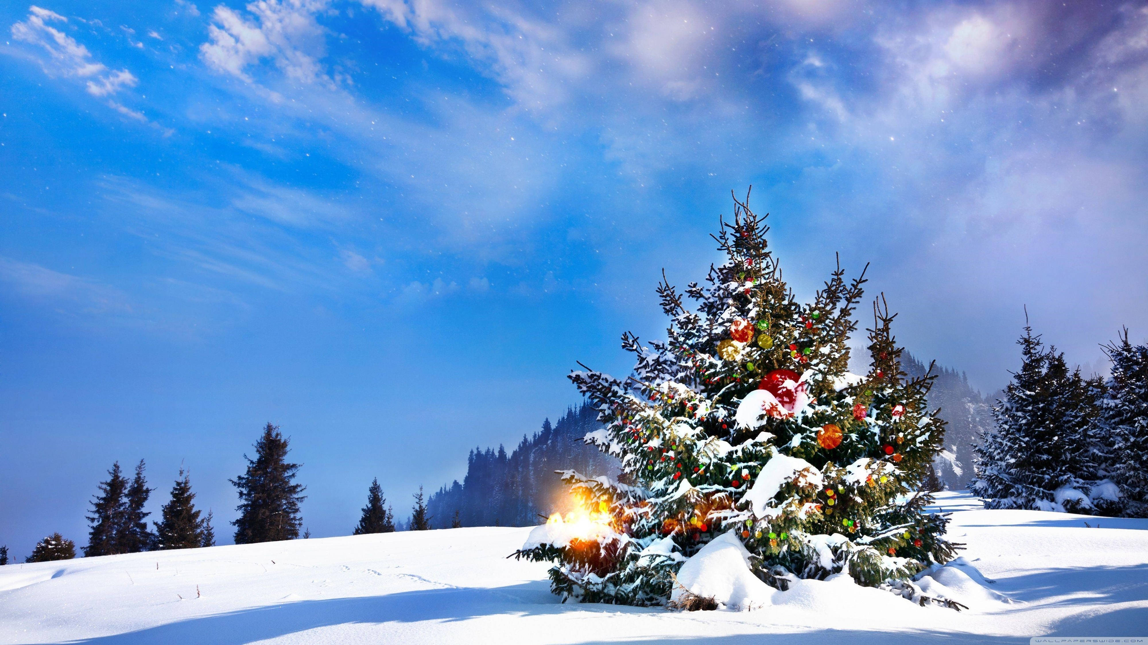 Σαγηνευτικό 4K Christmas Tree στο Χιόνι Ταπετσαρία