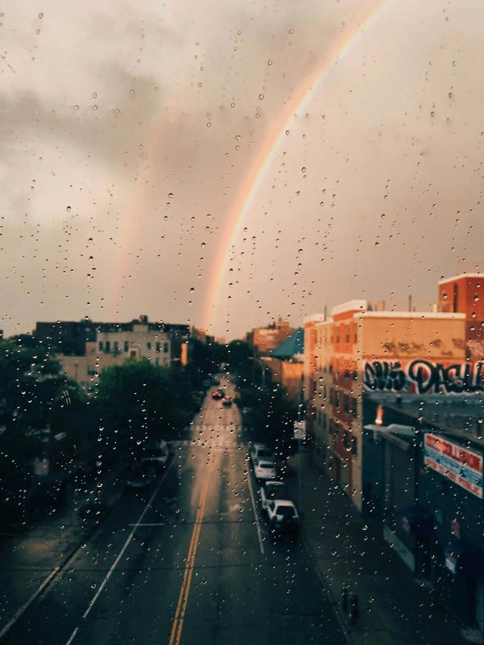 Σαγηνευτικό Φάσμα Χρωμάτων Ταπετσαρία
