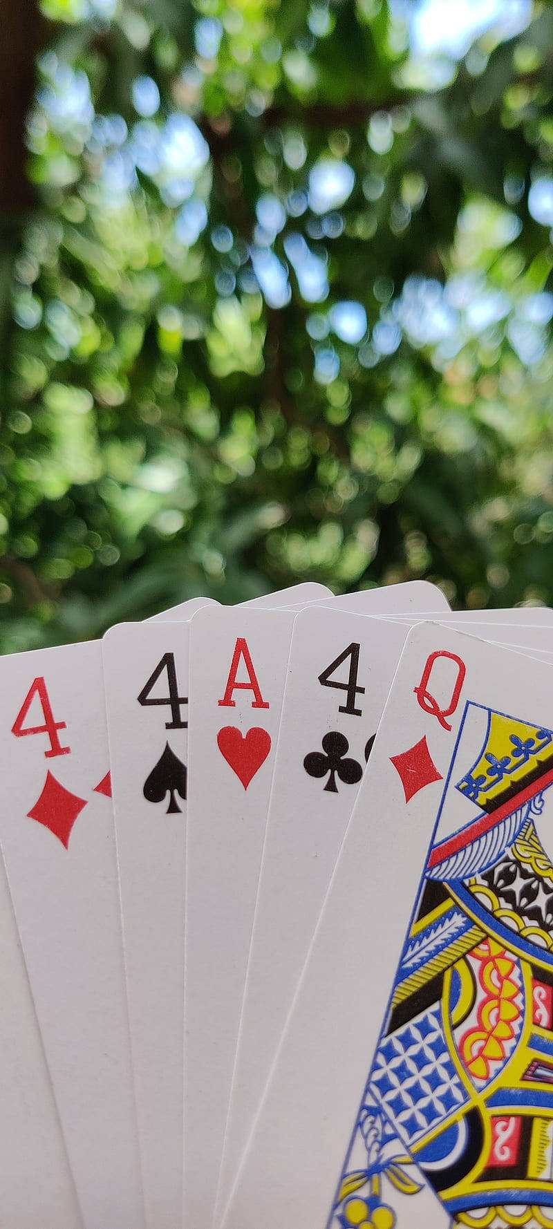 Σετ Πέντε Τραπουλόχαρτων Rummy Ταπετσαρία
