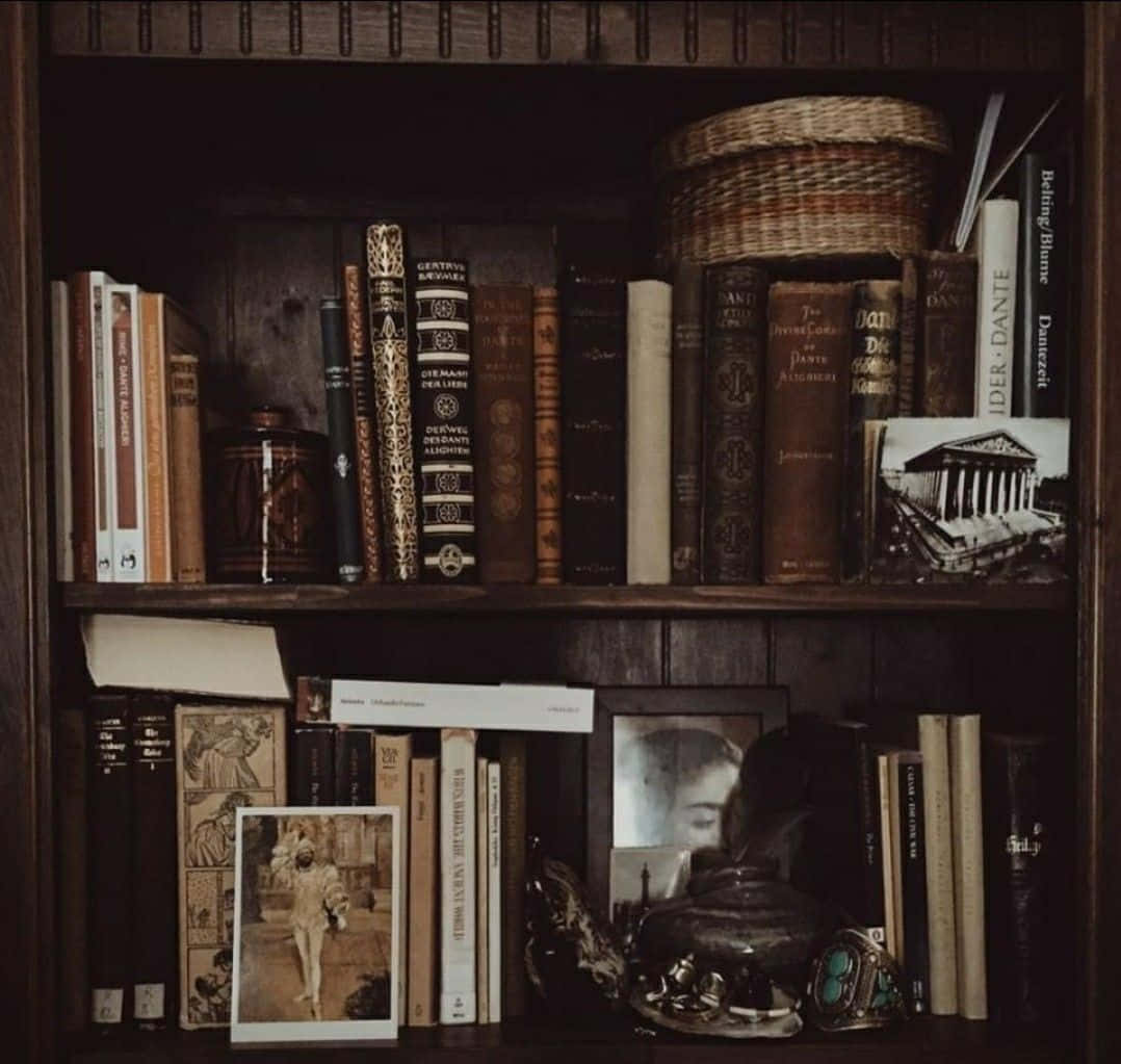 Σκηνή Βιβλιοθήκης με Αισθητική Dark Academia Ταπετσαρία