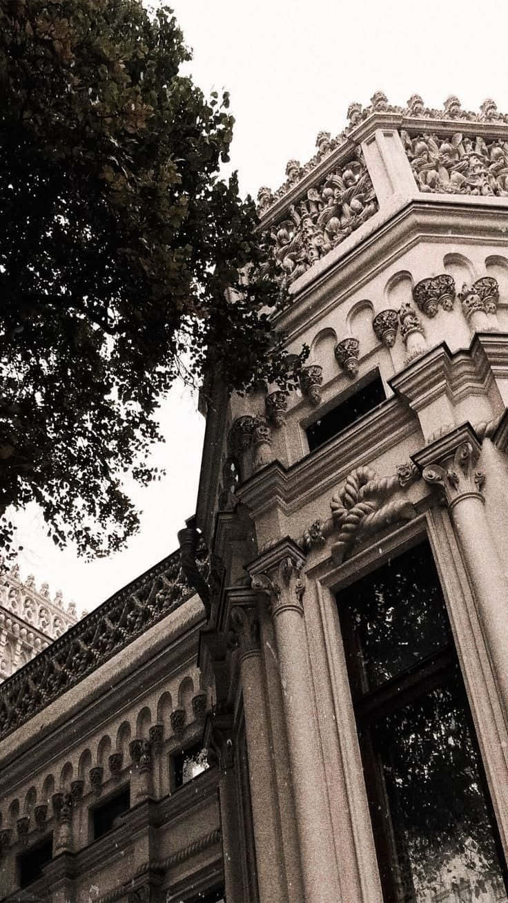 Σκούρο Ακαδημαϊκό φόντο — Σκοτεινή ακαδημία Ταπετσαρία