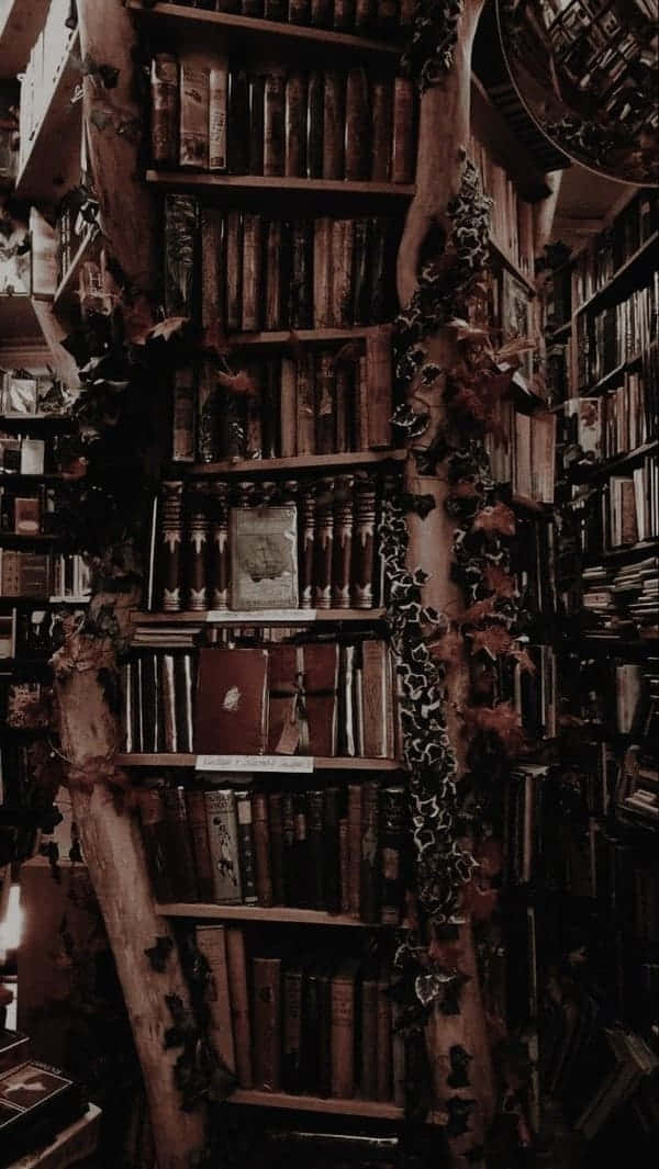 Σκούρο Ακαδημαϊκό φόντο — Σκοτεινή ακαδημία Ταπετσαρία