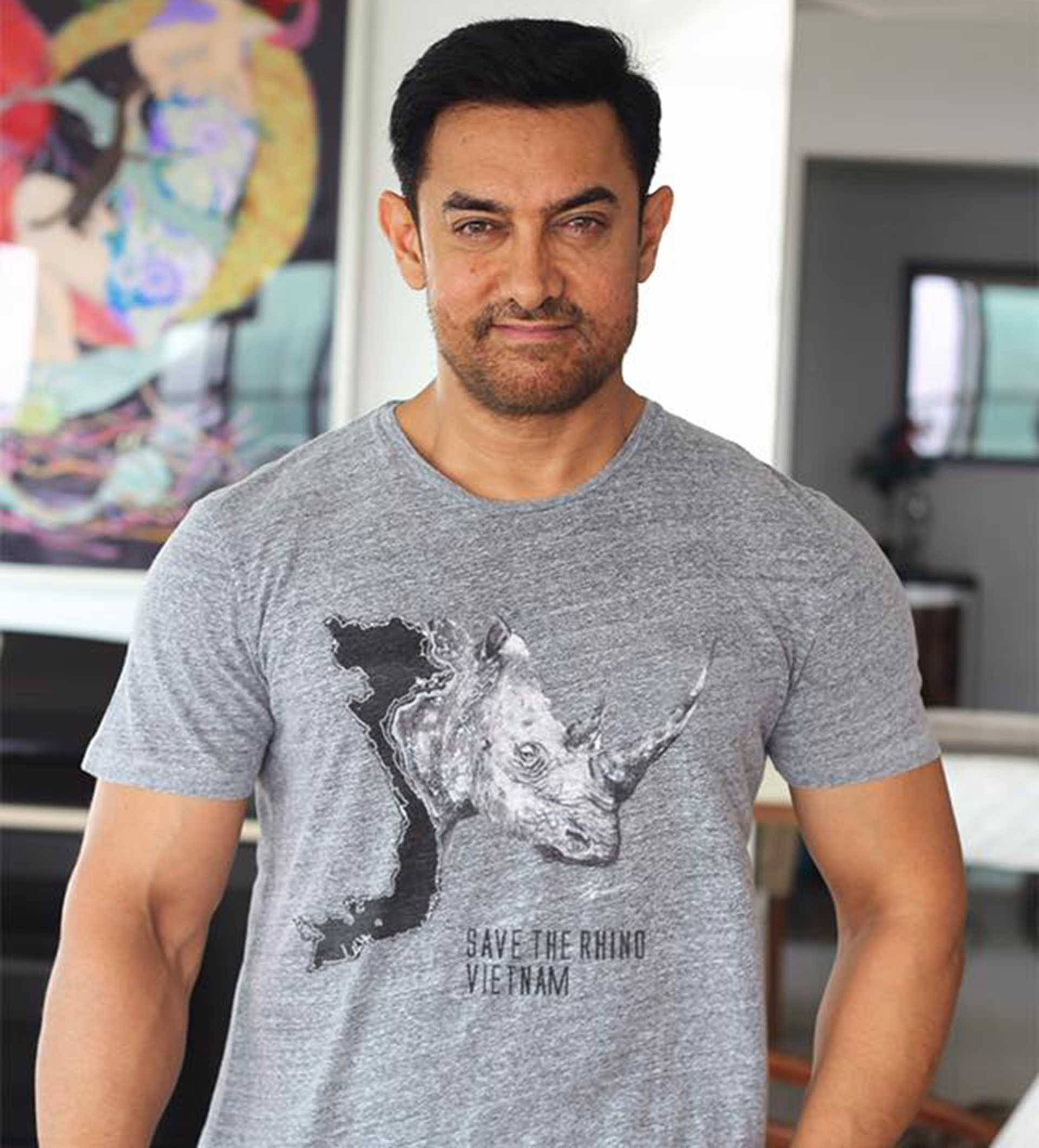 Σπίτι του Aamir Khan Ταπετσαρία