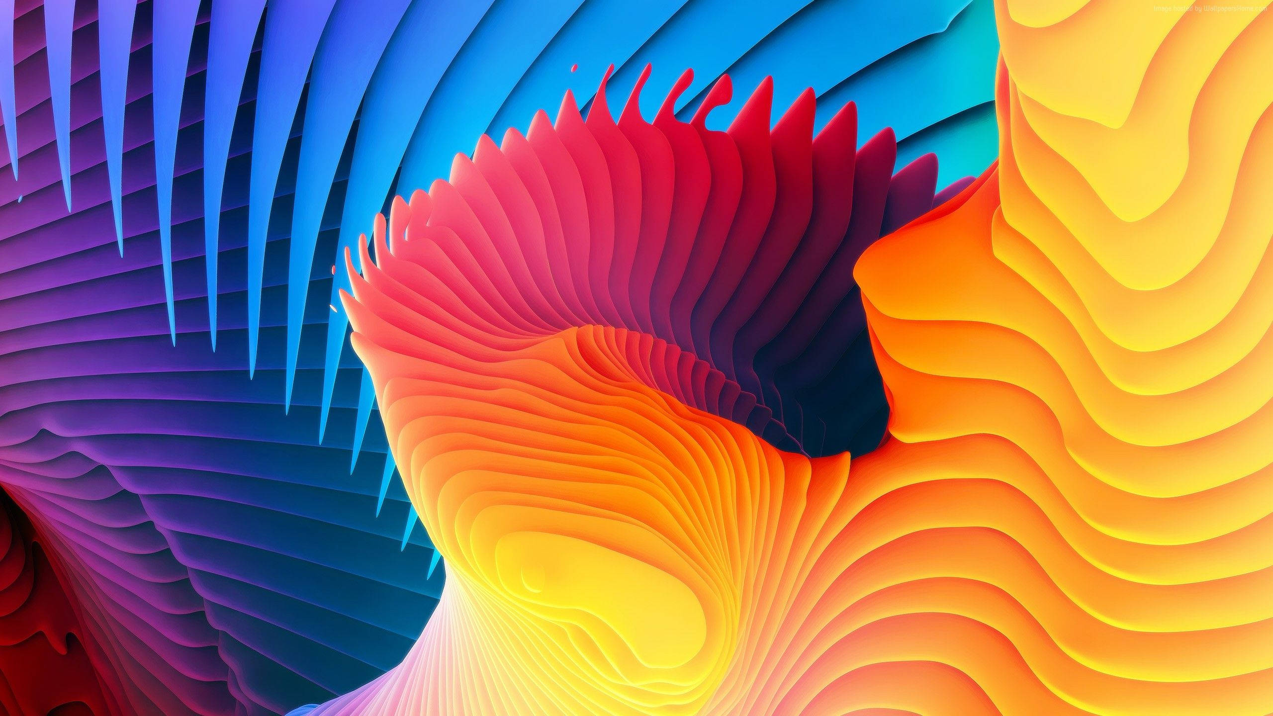 Σπείρα Δημιουργικότητας Ταπετσαρία