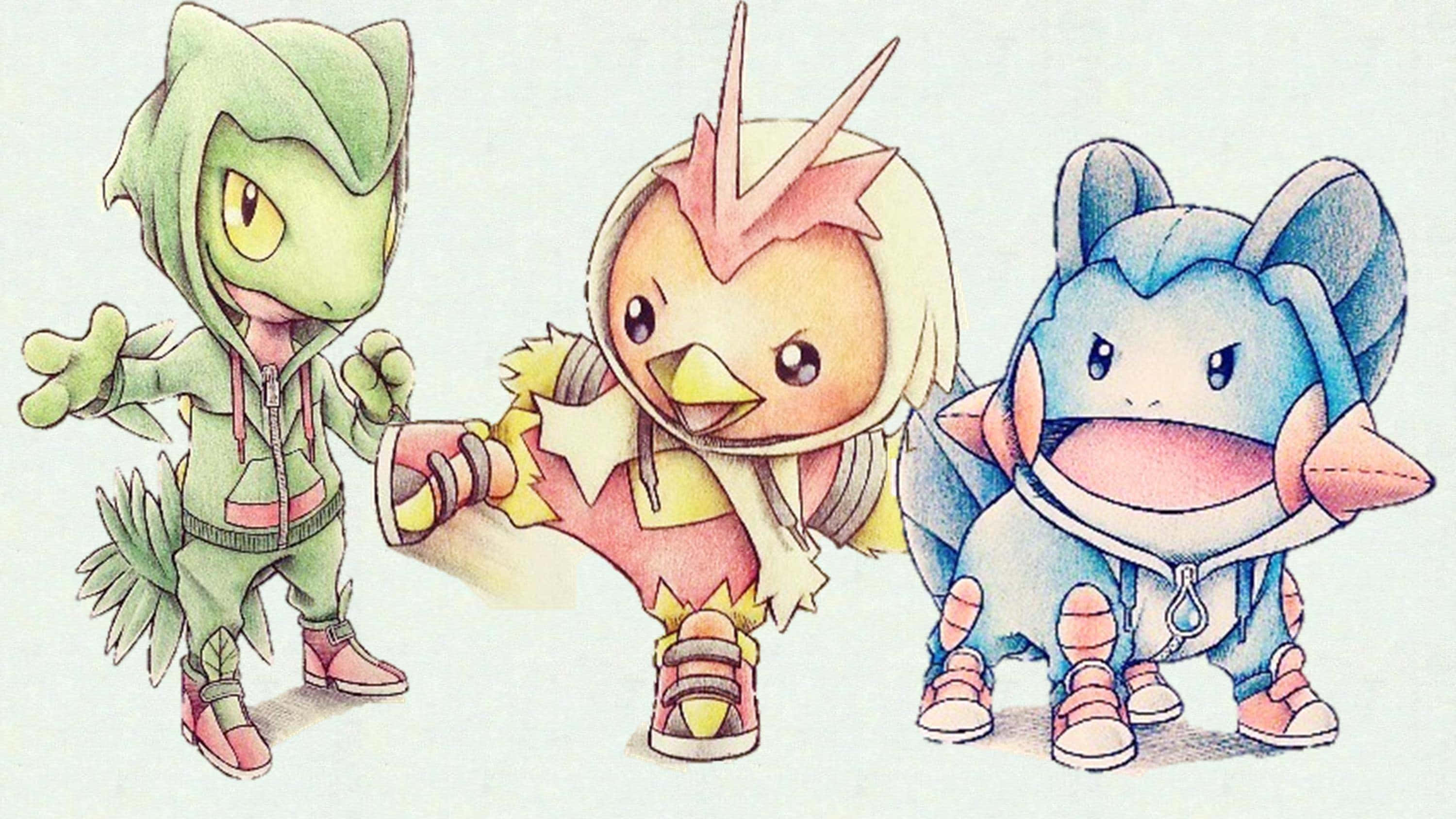 Σχέδιο Treecko, Torchic και Mudkip Ταπετσαρία