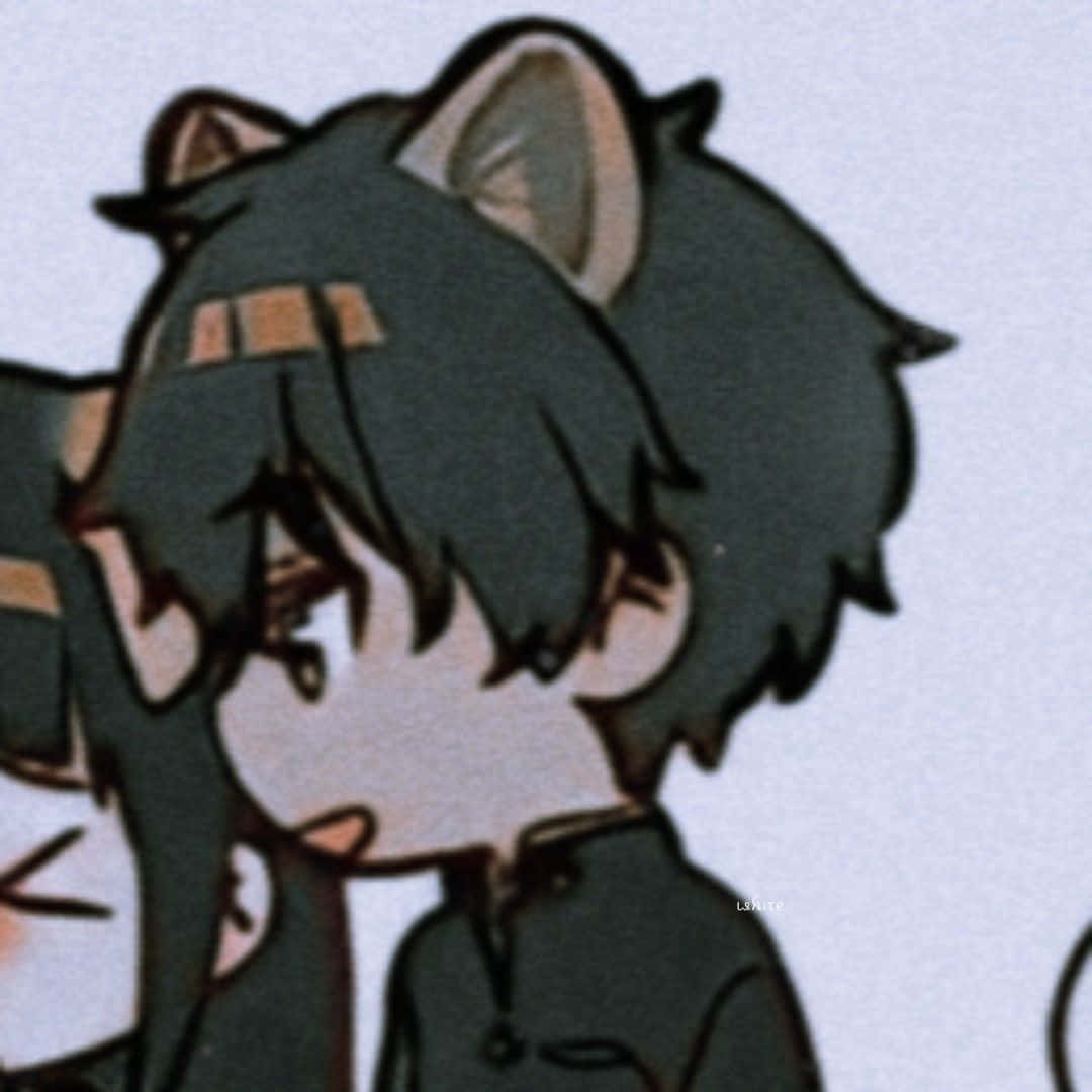 Ταίρι για ζευγάρι anime αγόρι γάτα Ταπετσαρία