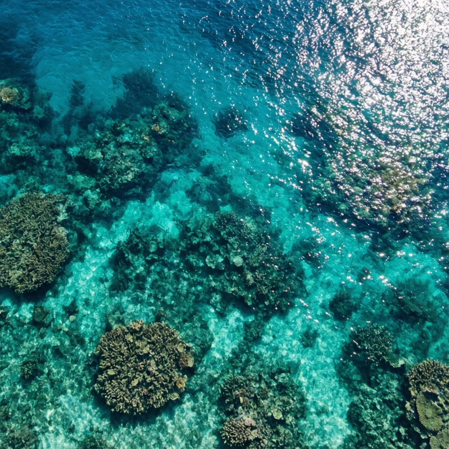 Τιρκουάζ Ύφαλος Αεροφωτογραφία Ταπετσαρία