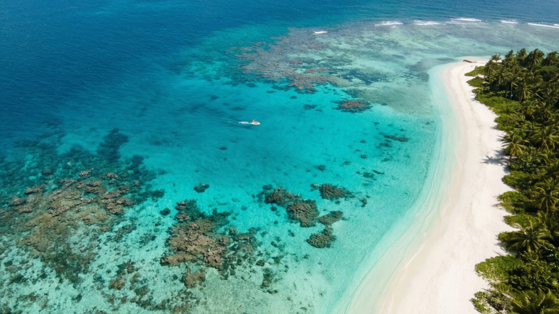 Τουρκουάζ Παράδεισος από Ψηλά Ταπετσαρία