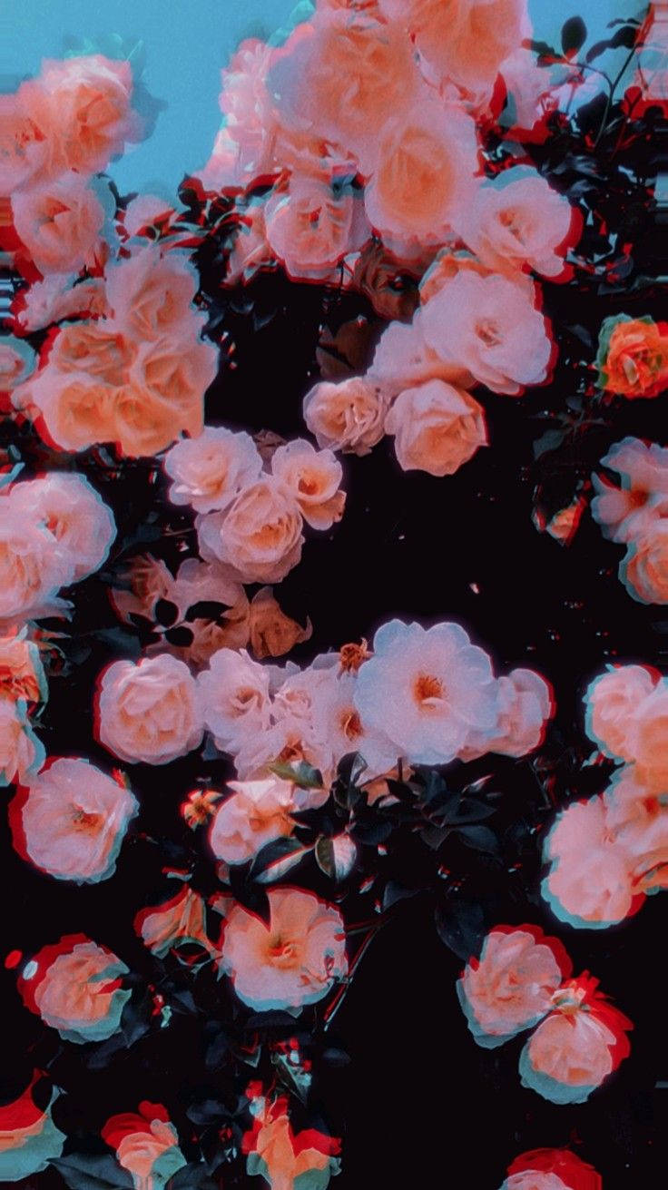 Τριαντάφυλλα Trippy Aesthetic Ταπετσαρία