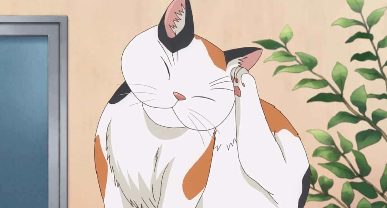 Τόσο χαριτωμένη γάτα anime με γυαλιά! Ταπετσαρία