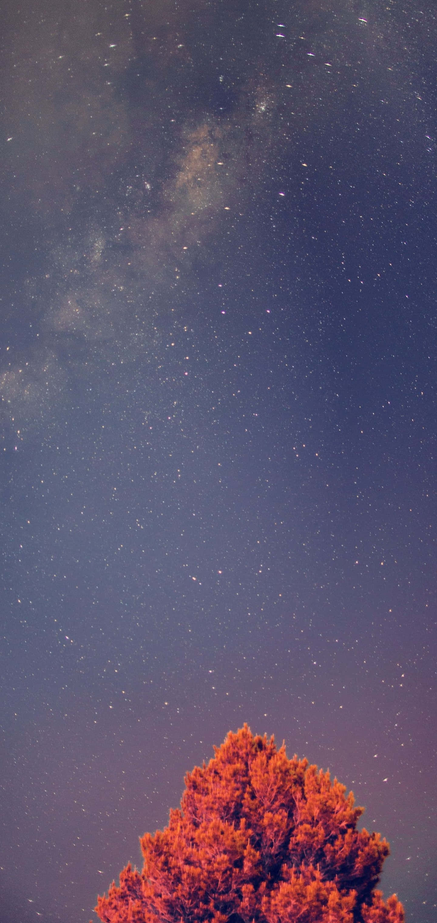 Φόντο Galaxy S10 Plus Ταπετσαρία