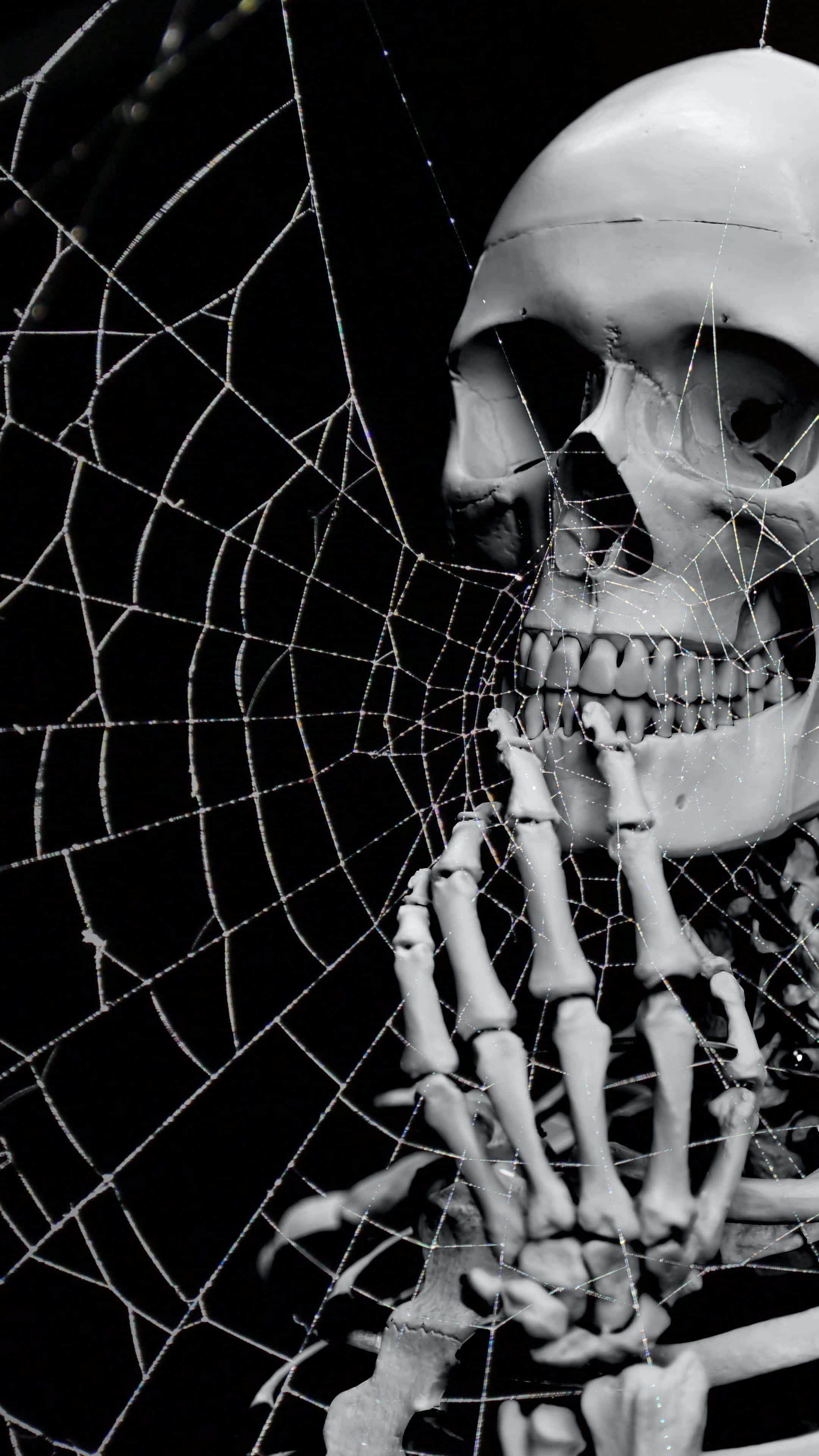 Φόντο Halloween 2160 x 3840 Ταπετσαρία