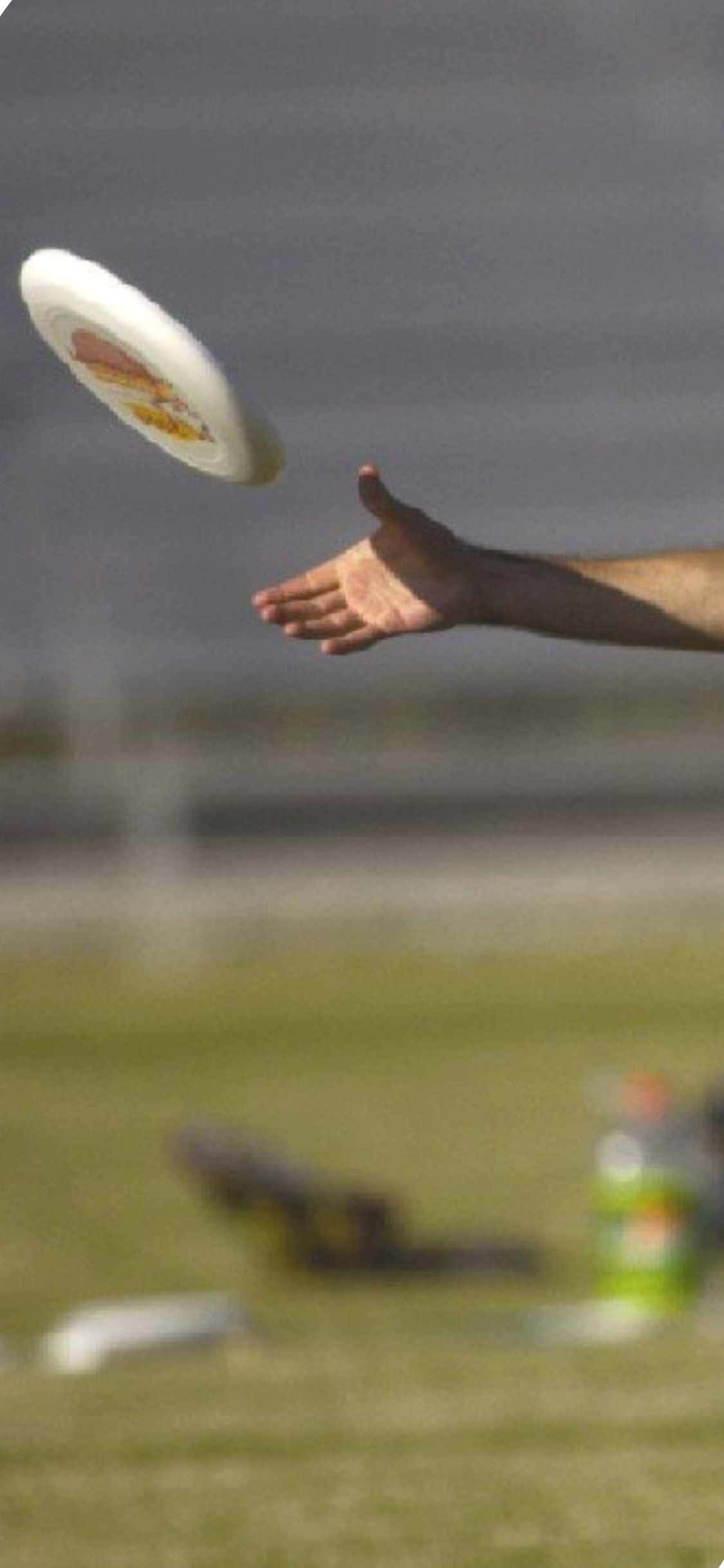 Φόντο iPhone X με Ultimate Frisbee και πιάσιμο με το χέρι Ταπετσαρία