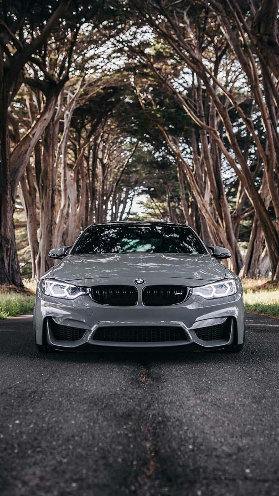 Φόντο Pixel 3 BMW M4 σε Ασημί Silverstone Metallic II Ταπετσαρία